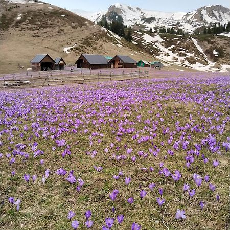 فيلا Katun Siska Medna Dolina بيراني المظهر الخارجي الصورة