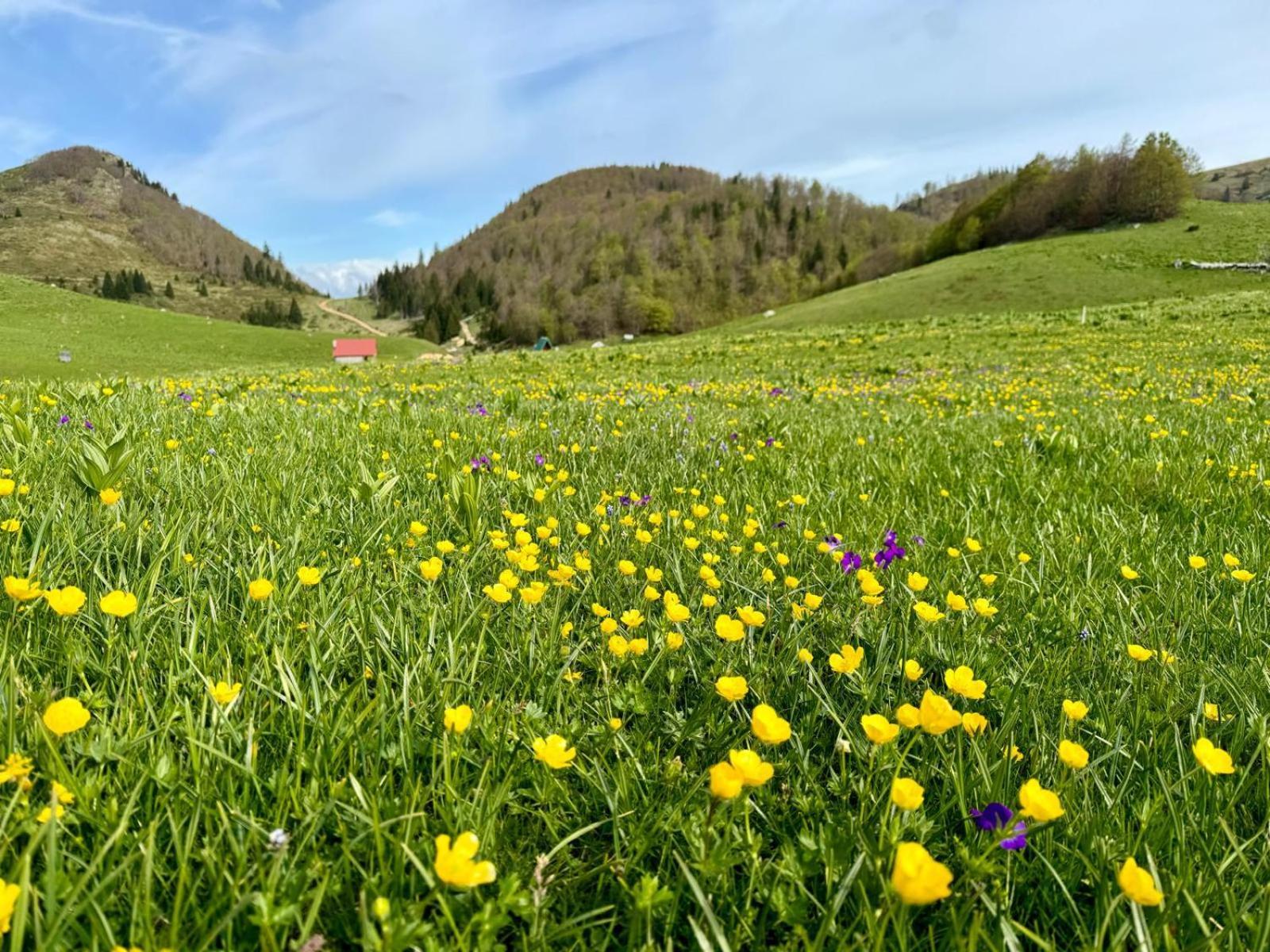 فيلا Katun Siska Medna Dolina بيراني المظهر الخارجي الصورة