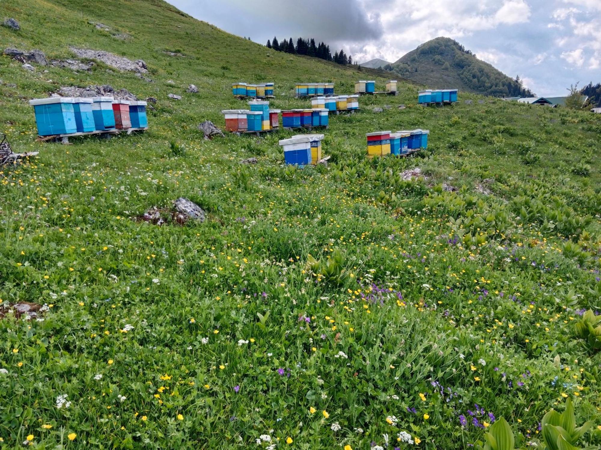 فيلا Katun Siska Medna Dolina بيراني المظهر الخارجي الصورة