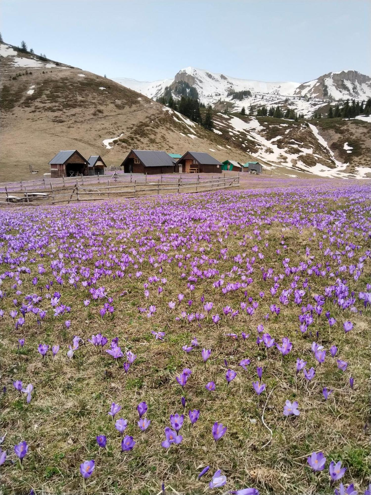 فيلا Katun Siska Medna Dolina بيراني المظهر الخارجي الصورة